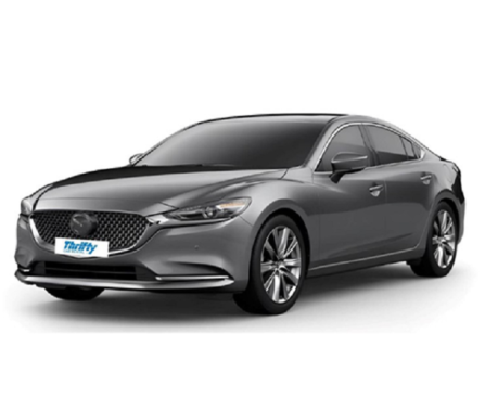 Rental Cars